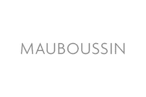 mauboussin